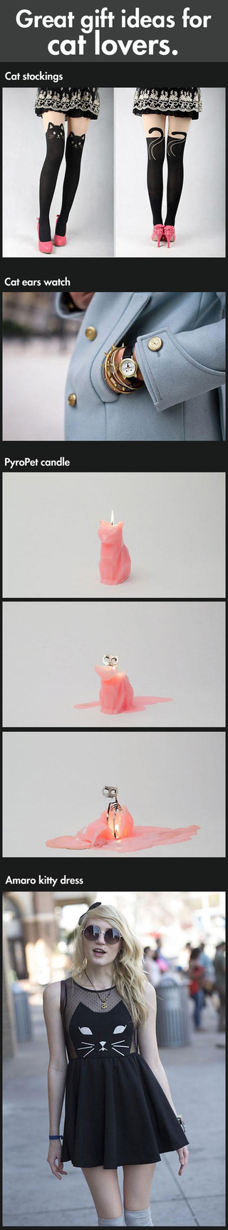 Illustration for article titled gifts for cat ladies